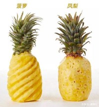 菠萝凤梨的区别是什么？