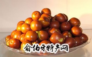 茌平圆铃大枣