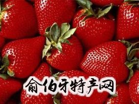 蚌埠草莓