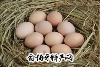 沁县土鸡蛋