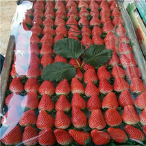 2023草莓价格多少钱一斤？