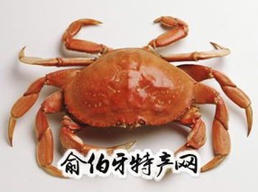 丁湖螃蟹