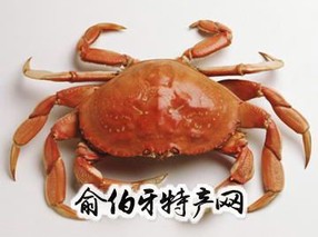 丁湖螃蟹