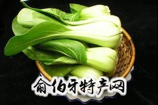 昭苏油菜