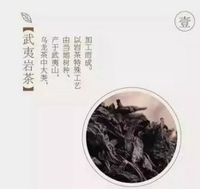 八张图，让你立马看懂武夷岩茶！