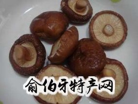 红河香菇