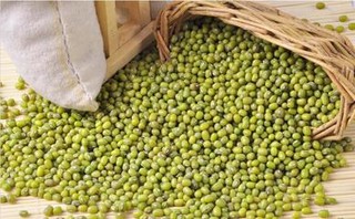 洮南绿豆价格多少钱一斤？