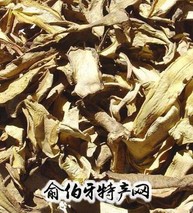 龚滩香菌