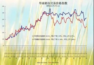 2023水稻价格前景预测