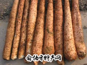 金田淮山
