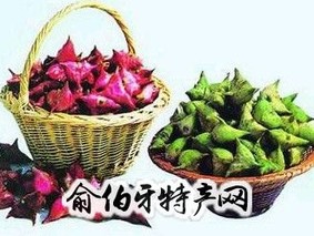 邵伯菱