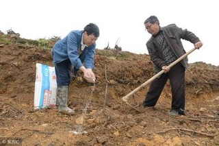 菜用玉米施肥五种方法