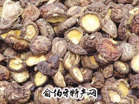 罗源县夏季香菇