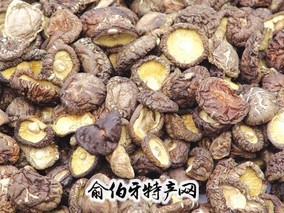 乐业香菇