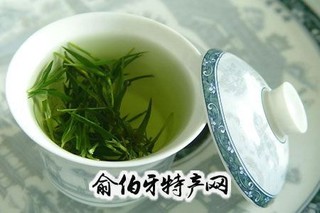 龙岩斜背茶