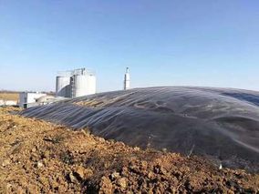 伊犁州直首家鸡粪沼气发电项目本月底正式投入使用