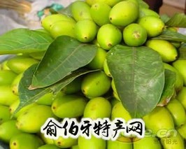 青津果