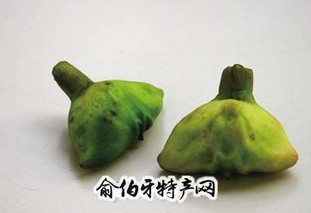 南湖菱