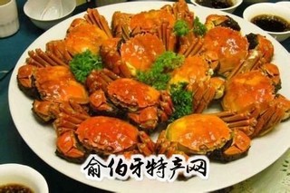 青蒲簖蟹