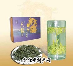 苍南翠龙茶