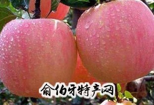 侯马红富士苹果