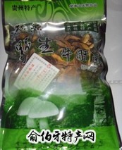 松桃牛肝菌