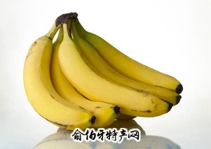南靖香蕉