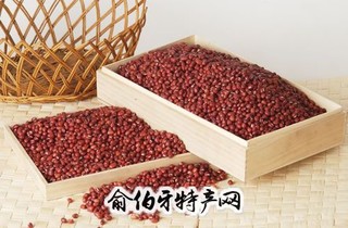 陕北红小豆