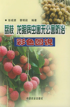 荔枝主要病虫害无公害防治技术(荔枝病虫害预测2022年)