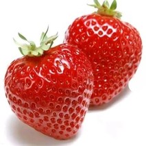 草莓批发价格多少钱一斤？