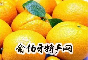 镇沅柑桔