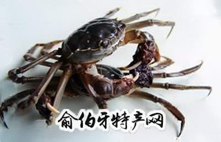 黄湖大闸蟹