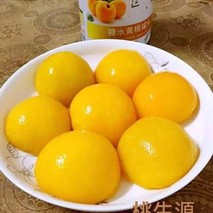 桥林汤包