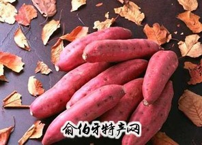 旱岭红薯