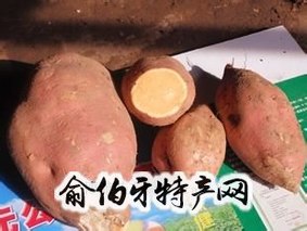 襄城红薯