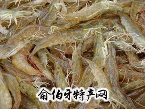 钦州对虾