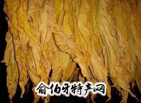 麟游烤烟