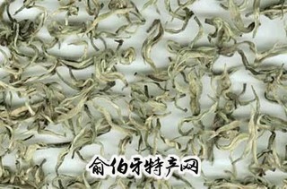 横县南山白毛茶