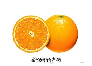 龙胜甜橘