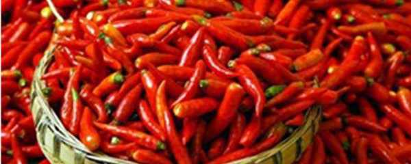 哪些品种的辣椒适合制作泡椒？如何制作？