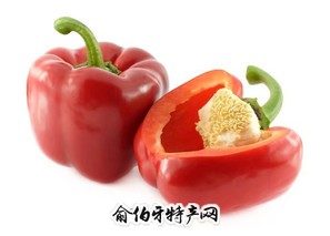 枫田灯笼辣椒