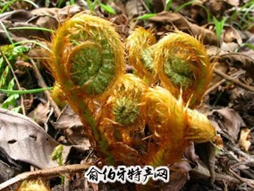 平和薇菜干