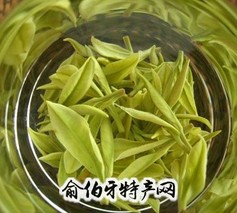 安吉白茶