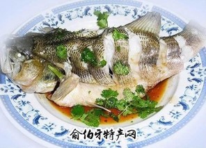 生焖茅岭鲈鱼