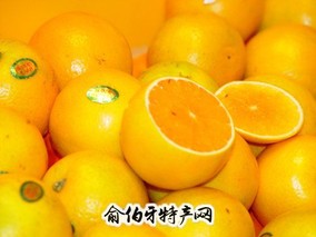 廉江红橙