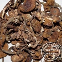 榛蘑能降血压吗