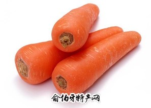 内蒙古红萝卜