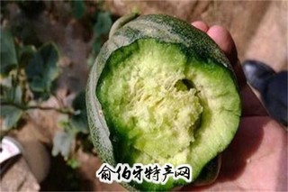 五原灯笼红香瓜