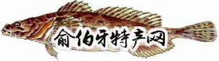 松江四鳃鲈