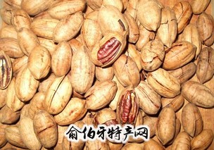 伊春山核桃